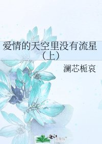 《爱情的天空里没有流星(上)》