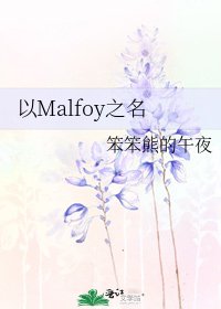 《以Malfoy之名》