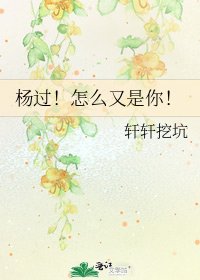 杨过！怎么又是你！