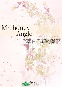 《Mr. honey Angle》