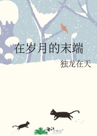 《在岁月的末端》