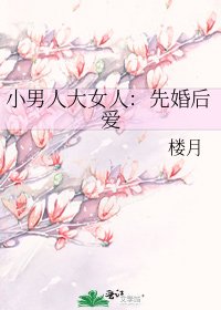 《小男人大女人:先婚后爱》