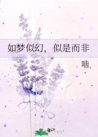 如夢似幻,似是而非