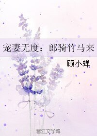 《宠妻无度:郎骑竹马来》