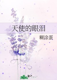 《天使的眼泪》