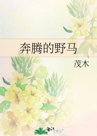 《奔腾的野马》