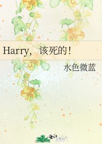 Harry，该死的！