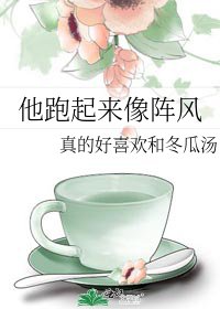 《他跑起来像阵风》