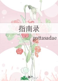 《指南錄》