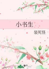 《小书生》