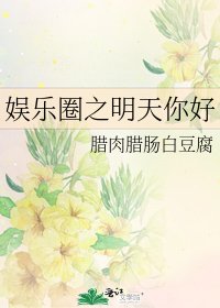 《娛樂圈之明天你好》