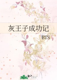 《灰王子成功记》