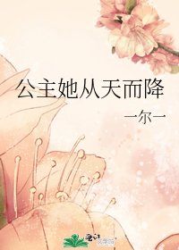 《公主她从天而降》