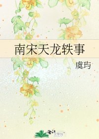 《南宋天龙轶事》