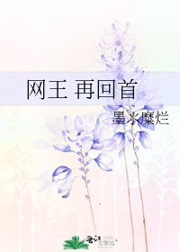 《网王 再回首》