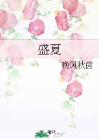 《盛夏》
