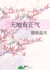 《天地有正气》