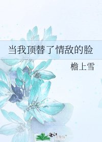 《当我顶替了情敌的脸》