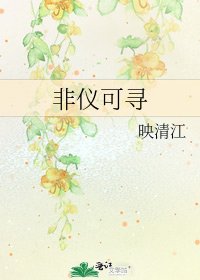 《非仪可寻》
