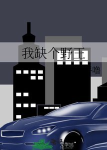 《我缺个野王》