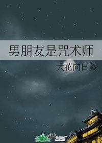 （综同人）男朋友是咒术师