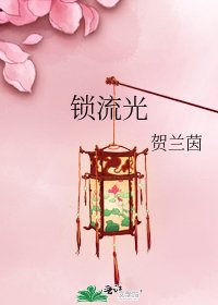 《锁流光》