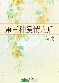 《第三种爱情之后》