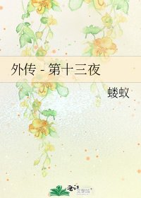 外传 - 第十三夜