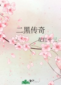 《二黑传奇》