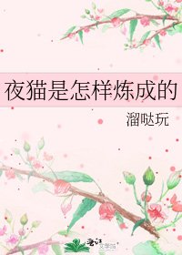 《夜猫是怎样炼成的》
