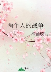 《两个人的战争》