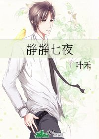 静静七夜