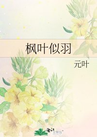 《枫叶似羽》
