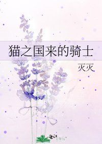 《猫之国来的骑士》