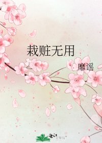 栽赃无用