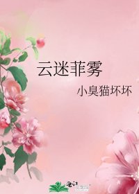 《云迷菲雾》