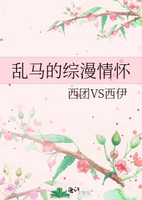 《乱马的综漫情怀》