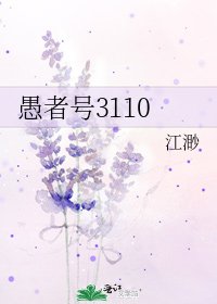 《愚者号3110》
