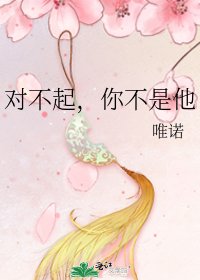 对不起,你不是他