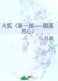 《火狐(第一部——陨落君心)》