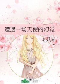 《遭遇一场天使的幻觉》