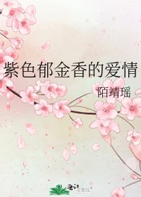 紫色郁金香的爱情