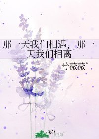 《那一天我们相遇,那一天我们相离》
