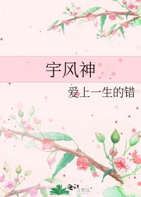 《宇风神》