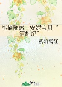 《笔摘随感—安妮宝贝“清醒纪”》