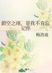 《蔚空之翊,是我不肯忘記你》
