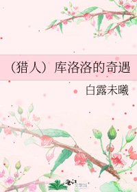 《(猎人)库洛洛的奇遇》