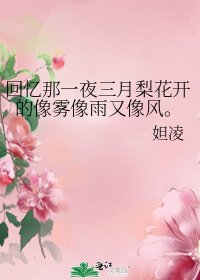 《回忆那一夜三月梨花开的像雾像雨又像风。》