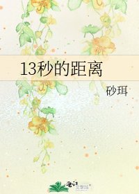 《13秒的距离》
