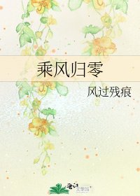 《乘风归零》
